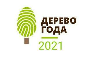     2021 -  