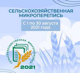   2021 